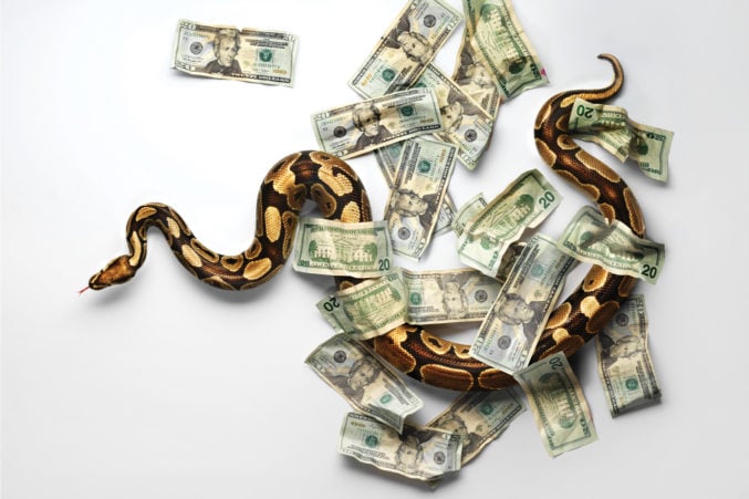 Snake with money